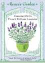 French Perfume Lavender Container Herb Seeds